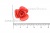 Украшение "Розы малые №1" 20мм - купить в Северске. Цена: 32.49 руб.