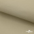 Ткань подкладочная TWILL 230T 14-1108, беж светлый 100% полиэстер,66 г/м2, шир.150 cм - купить в Северске. Цена 90.59 руб.