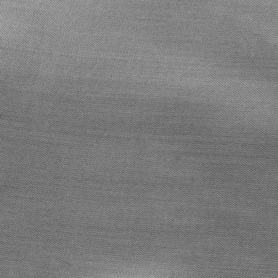 Ткань подкладочная Таффета 17-1501, антист., 54 гр/м2, шир.150см, цвет св.серый - купить в Северске. Цена 60.40 руб.