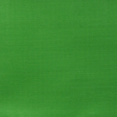 Ткань подкладочная Таффета 17-6153, 48 гр/м2, шир.150см, цвет трава - купить в Северске. Цена 54.64 руб.