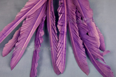 Декоративный Пучок из перьев, перо 25см/фиолетовый - купить в Северске. Цена: 12.19 руб.