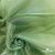 Ткань органза, 100% полиэстр, 28г/м2, шир. 150 см, цв. #27 зеленый - купить в Северске. Цена 86.24 руб.