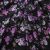 Плательная ткань "Фламенко" 20.1, 80 гр/м2, шир.150 см, принт растительный - купить в Северске. Цена 241.49 руб.