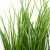 Трава искусственная -4, шт  (осока 50 см/8 см  7 листов)				 - купить в Северске. Цена: 130.73 руб.