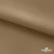 Ткань подкладочная Таффета 17-1327, антист., 54 гр/м2, шир.150см, цвет св.коричневый - купить в Северске. Цена 65.53 руб.