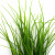 Трава искусственная -3, шт (осока 50 см/8 см  5 листов)				 - купить в Северске. Цена: 124.17 руб.